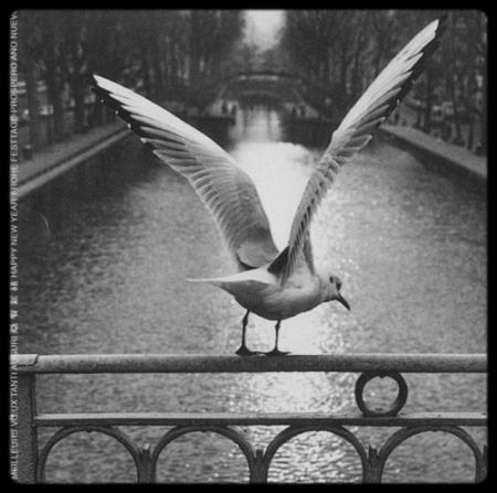 Mon univers pour quatre phrases...